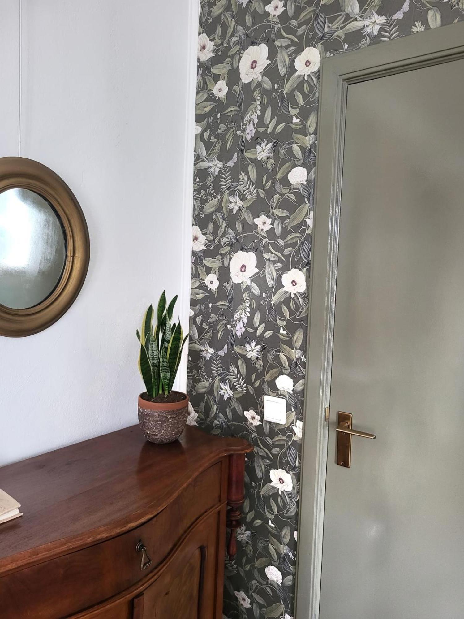 Logement Hartsuiker Hoogeveen Esterno foto